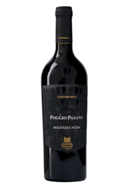 Cantina Sava Malvasia Nero 2017 - Poggio Pasano