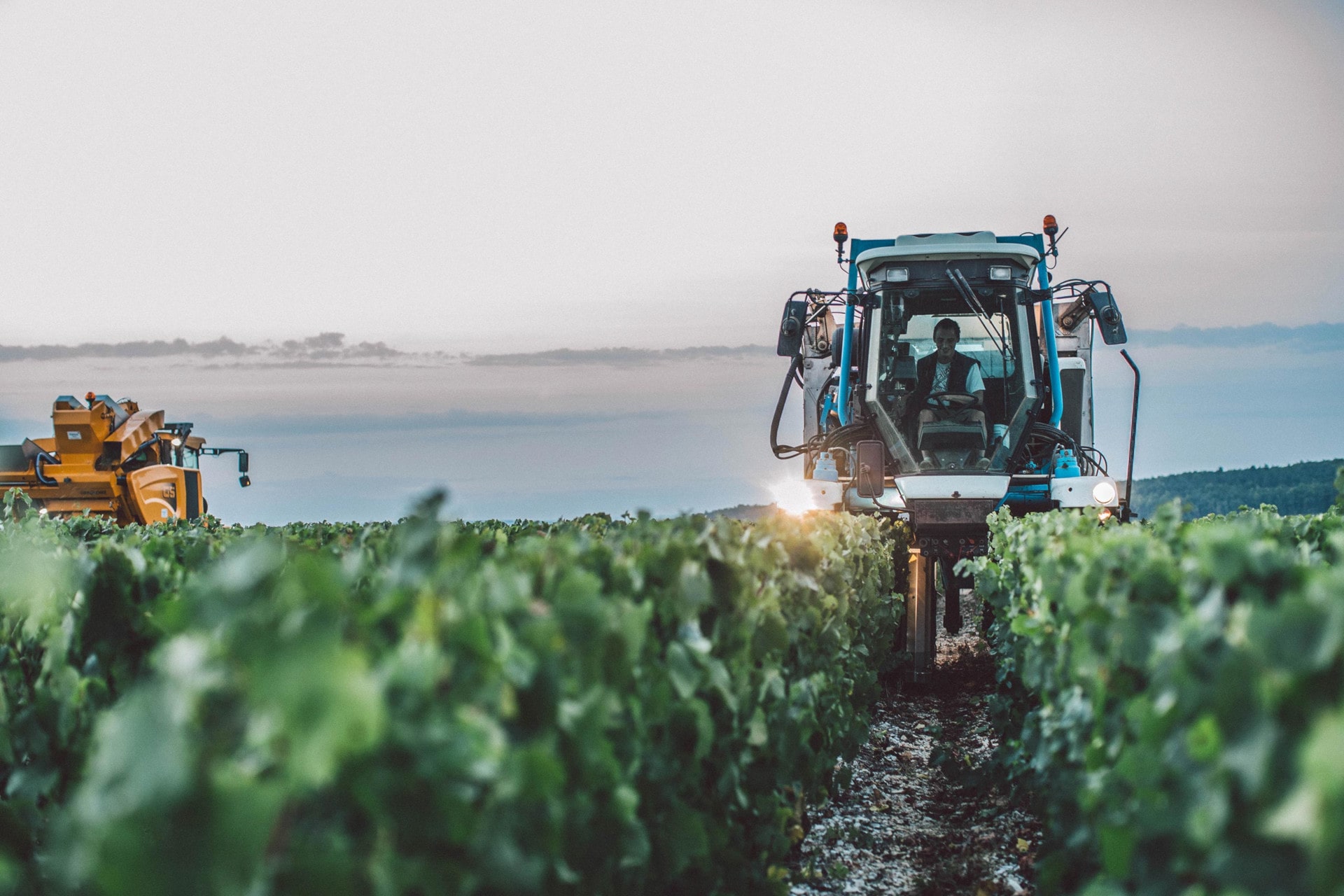 Alain Geoffroy wijnen koop je bij Global Wineries uit Amsterdam