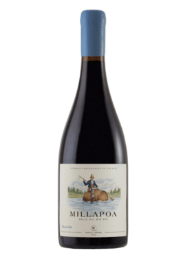 Torres Millapoa Pais Old Vines